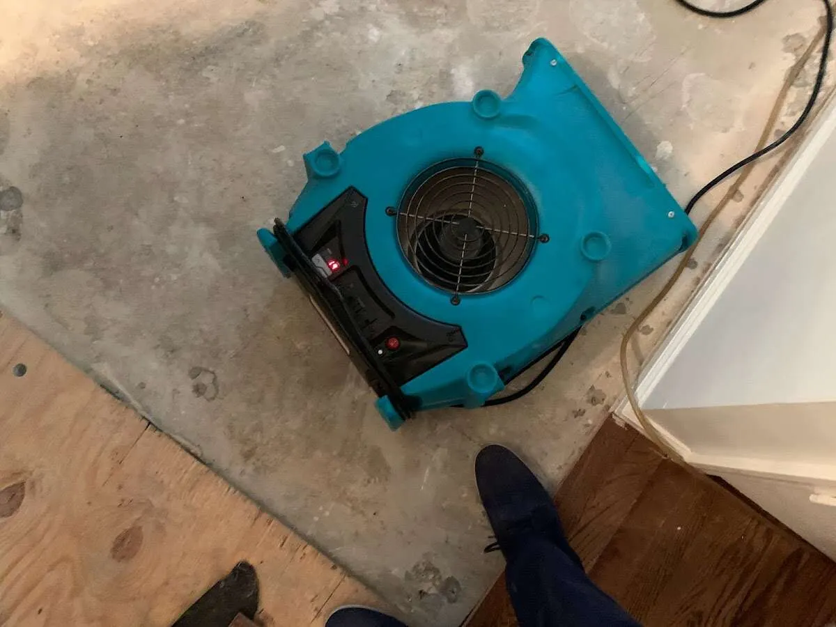 Air mover drying subfloor during Leak Detection & Repair in Prospect